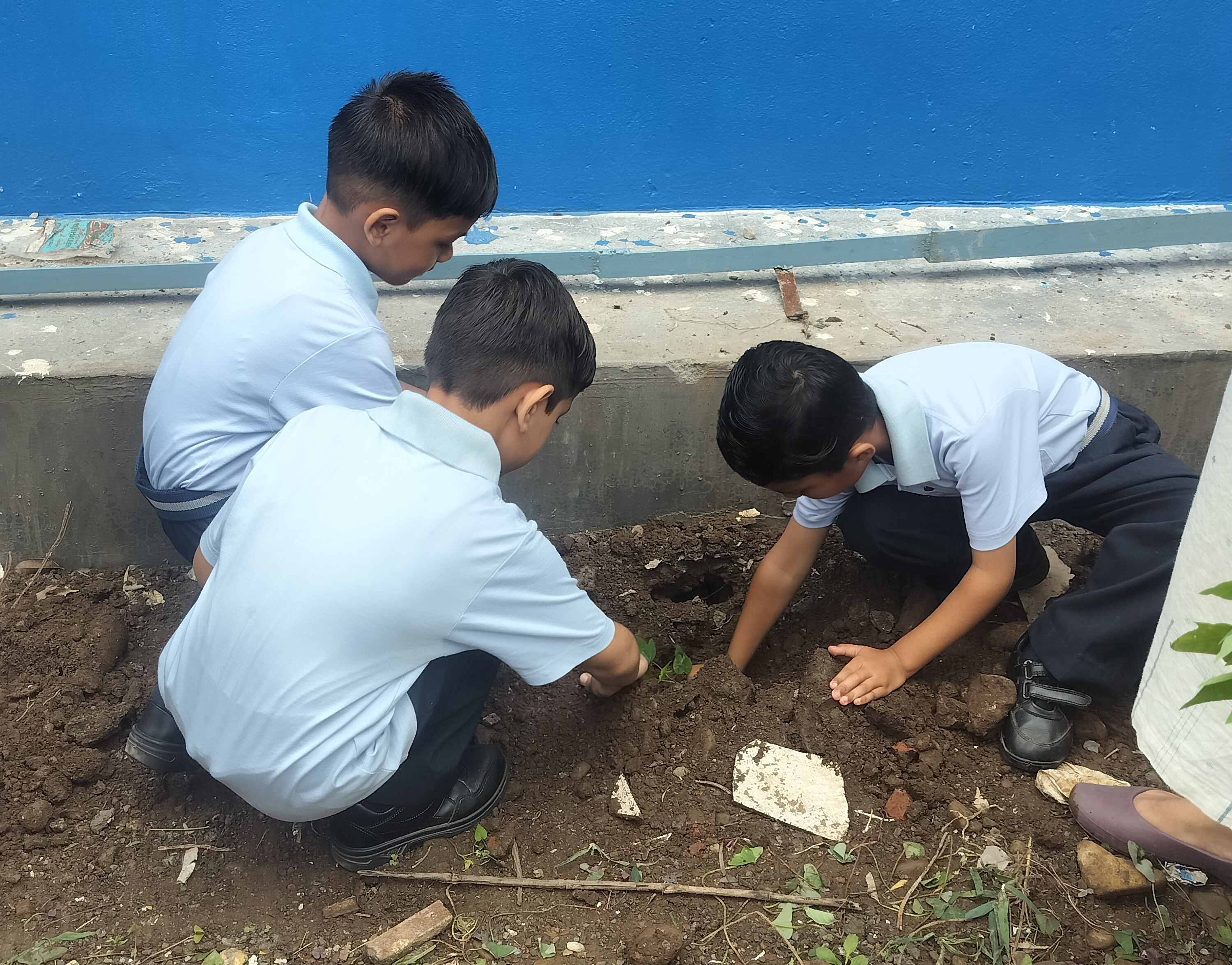 Plantation Drive on Harela